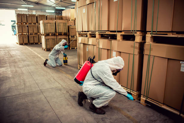 Best Rat Extermination Near Me  in Eagle Point, OR