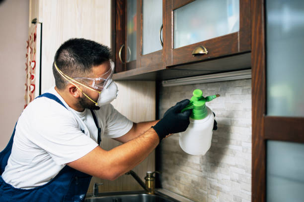 Best Cockroach Control Services  in Eagle Point, OR
