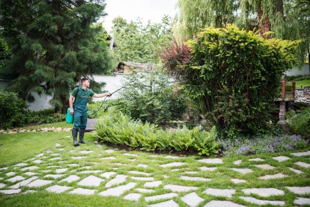 Best Pest Removal Services  in Eagle Point, OR