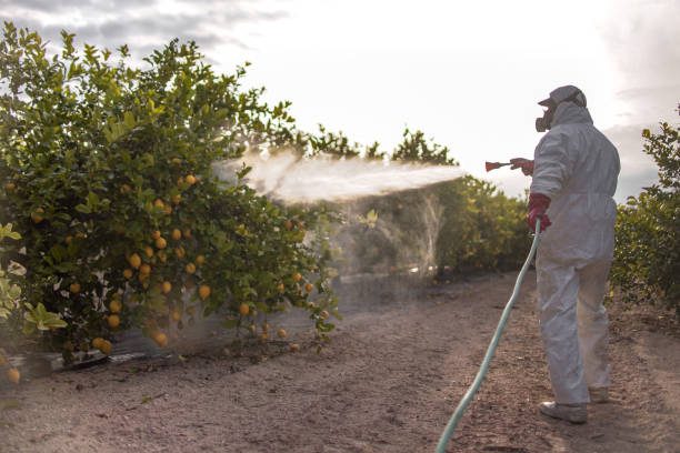 Best Affordable Pest Control Services  in Eagle Point, OR