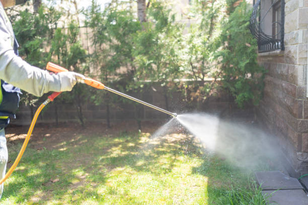 Best Pest Prevention Services  in Eagle Point, OR