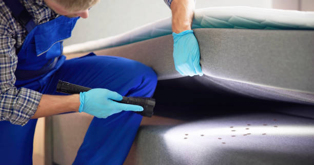 Pest Control for Restaurants in Eagle Point, OR