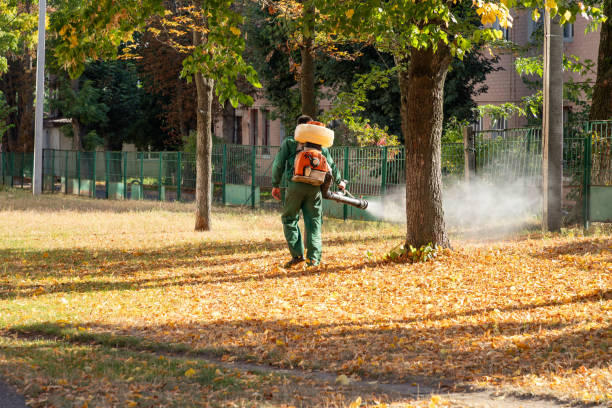 Best Best Pest Control Companies  in Eagle Point, OR