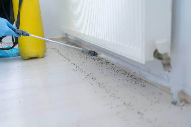 Best Ant Control Services  in Eagle Point, OR