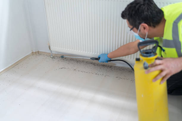 Best Bed Bug Extermination  in Eagle Point, OR