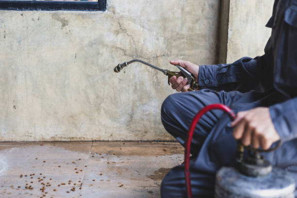 Best Affordable Pest Control Services  in Eagle Point, OR